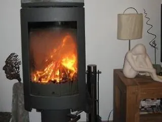 The *